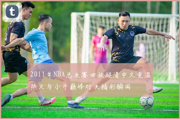 2011年NBA总决赛回放超清中文重温热火与小牛巅峰对决精彩瞬间
